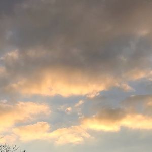 Meet your Posher, Dbdnjd